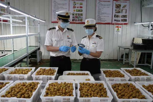 佛山海關(guān)深化服務家用電器企業(yè)長效機制 助力產(chǎn)業(yè)高質(zhì)量發(fā)展